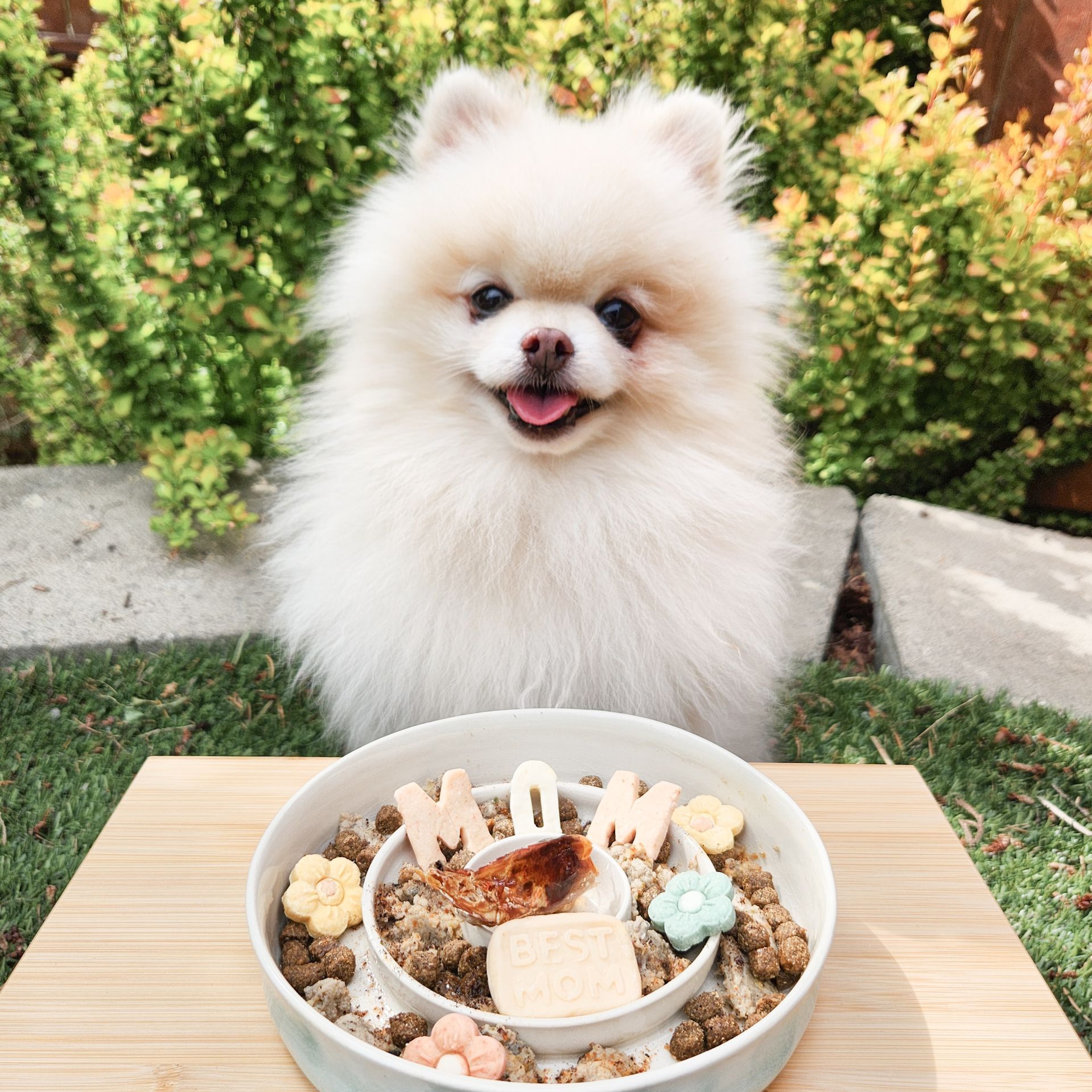 InfinettiMoments SCROLL