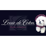 Louie de Coton Urban Craft Uprising Vendor