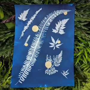 Edmonds Spring Fest Vendor