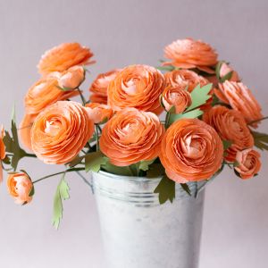 Edmonds Spring Fest Vendor