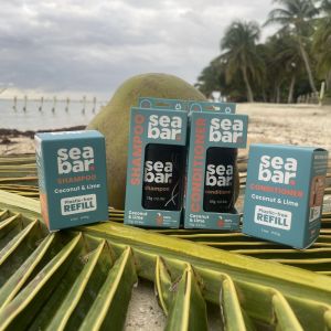 Edmonds Spring Fest Vendor