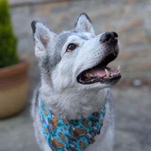 Urban Craft Uprising Vendor