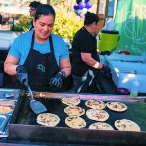 Edmonds Spring Fest Vendor